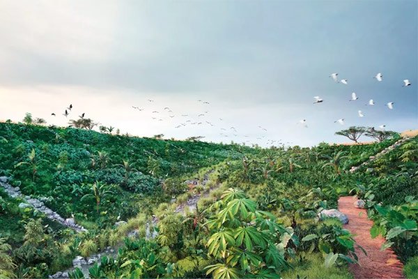 Landfill Closure & Rehabilitation