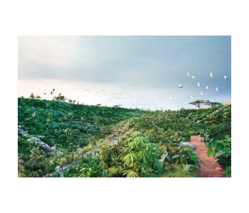 Landfill Closure & Rehabilitation