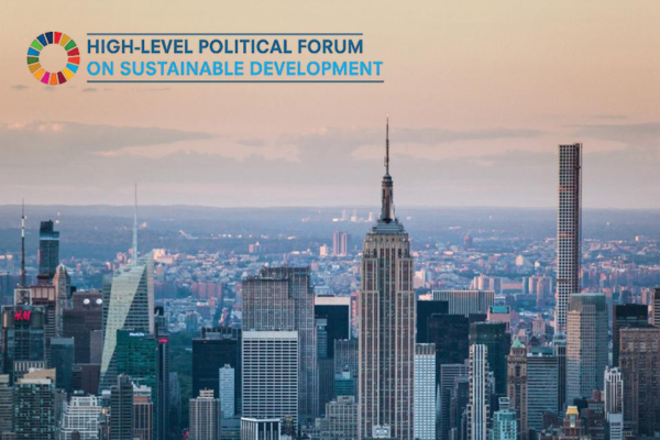  High Level Political Forum 