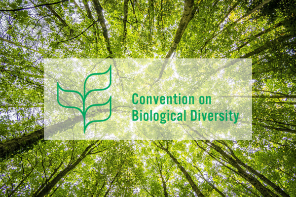 Conférence des Nations Unies sur la biodiversité - COP16 