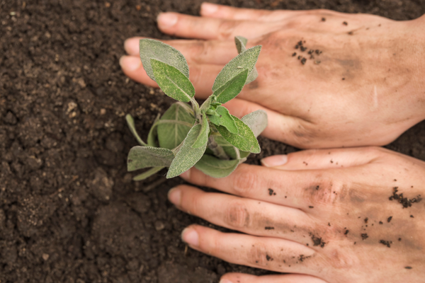  World Environment Day 